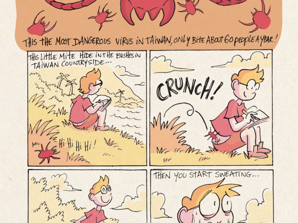 Scrub Typhus 恙蟲病